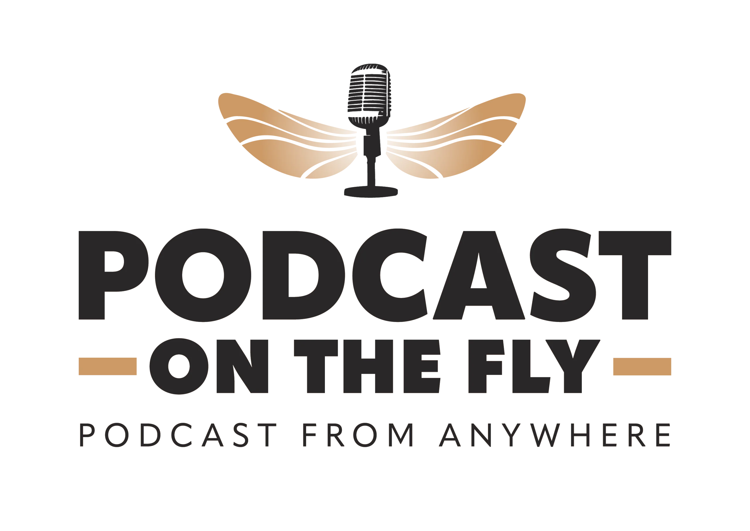 Podcast On The Fly Logo